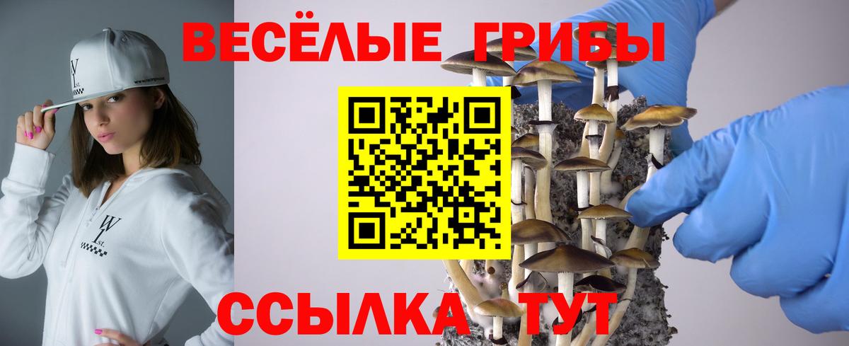 Галлюциногенные грибы мицелий  где купить наркоту  Вход с VPN  Мытищи  Псилоцибиновые грибы Psilocybine cubensis 